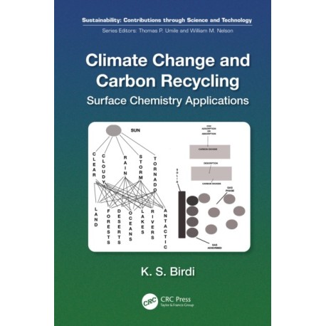 Climate Change and Carbon Recycling: Surface Chemistry Applications