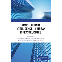 Computational Intelligence in Urban Infrastructure