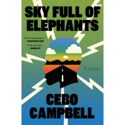 Sky Full of Elephants: A Novel