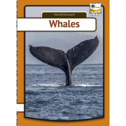 Whales