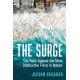 The Surge: The Race Against the Most Destructive Force in Nature
