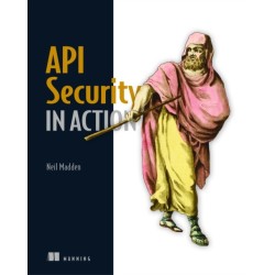 API Security in Action