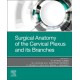 Surgical Anatomy of the Cervical Plexus and its Branches