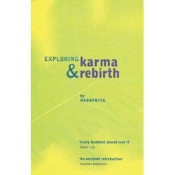 Exploring Karma and Rebirth