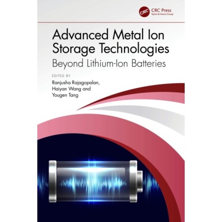 Advanced Metal Ion Storage Technologies: Beyond Lithium-Ion Batteries
