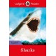 Ladybird Readers Level 3 - Sharks (ELT Graded Reader)