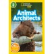 Animal Architects (L3)