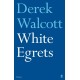 White Egrets