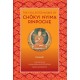 The Collected Works of Chokyi Nyima Rinpoche Volume I: volume 1