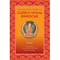 The Collected Works of Chokyi Nyima Rinpoche Volume I: volume 1