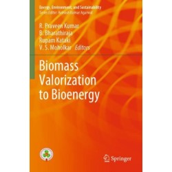 Biomass Valorization to Bioenergy
