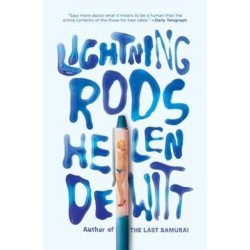 Lightning Rods: Shortlisted for the 2013 Bollinger Everyman Wodehouse Prize for comic fiction