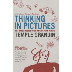 Thinking in Pictures