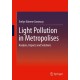 Light Pollution in Metropolises: Analysis, Impacts and Solutions