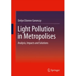 Light Pollution in Metropolises: Analysis, Impacts and Solutions