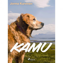 Kamu