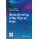 Neurophysiology of the Migraine Brain