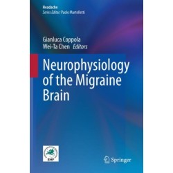 Neurophysiology of the Migraine Brain