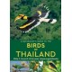 A Naturalist's Guide to the Birds of Thailand