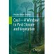 Coal—A Window to Past Climate and Vegetation