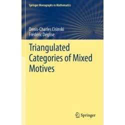Triangulated Categories of Mixed Motives
