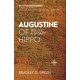 Augustine of Hippo: His Life and Impact