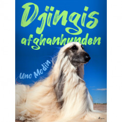 Djingis, afganhunden