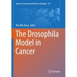 The Drosophila Model in Cancer