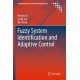 Fuzzy System Identification and Adaptive Control