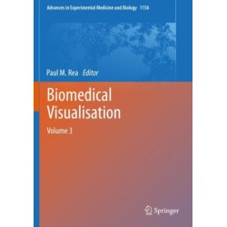 Biomedical Visualisation: Volume 3
