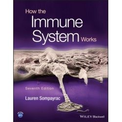 How the Immune System Works