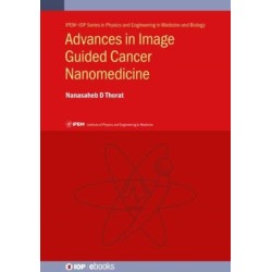 Advances in Image-Guided Cancer Nanomedicine