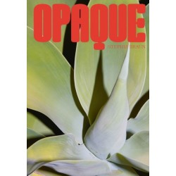 Stephie Braun: OPAQUE