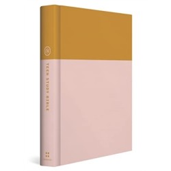 ESV Teen Study Bible