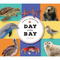 Animal Adventures: Day in the Bay