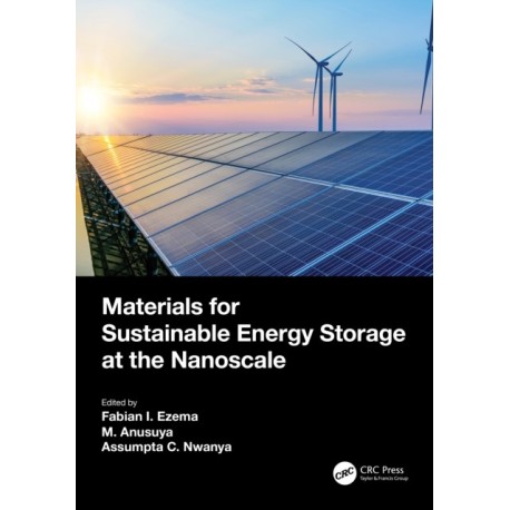 Materials for Sustainable Energy Storage at the Nanoscale