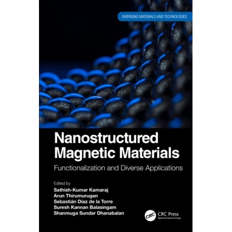 Nanostructured Magnetic Materials: Functionalization and Diverse Applications