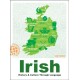 Irish: History & Culture Through Language