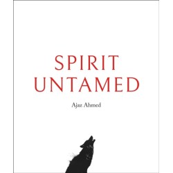 Spirit Untamed