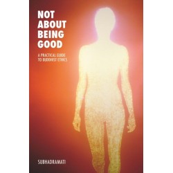 Not About Being Good: A Practical Guide to Buddhist Ethics