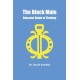 The Black Male Educator Guide to Thriving