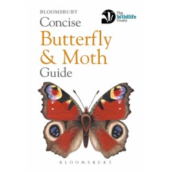 Concise Butterfly and Moth Guide