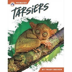 Tarsiers