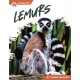 Lemurs
