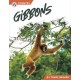 Gibbons