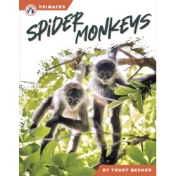 Spider Monkeys