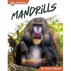 Mandrills
