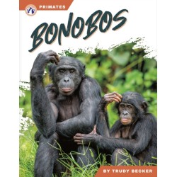 Bonobos