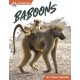 Baboons