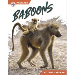 Baboons